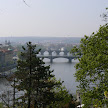 P1130361.JPG