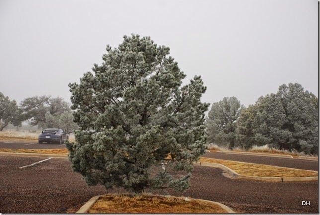 02-17-15 McDonald Observatory Fort Davis (3) 02-17-15 McDonald Observatory Fort Davis (3)
