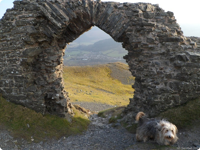 SAM_0035 Dinas Bran SAM_0035 Dinas Bran