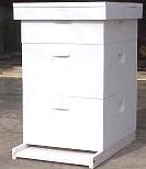 [hive%255B3%255D.jpg]