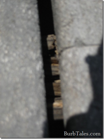 Fuzzy Wuzzy was a rotten joist Fuzzy Wuzzy was a rotten joist