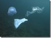 Plastic Bags are not indigenous the Pacific Ocean Norbert Wu-Minden Pictures