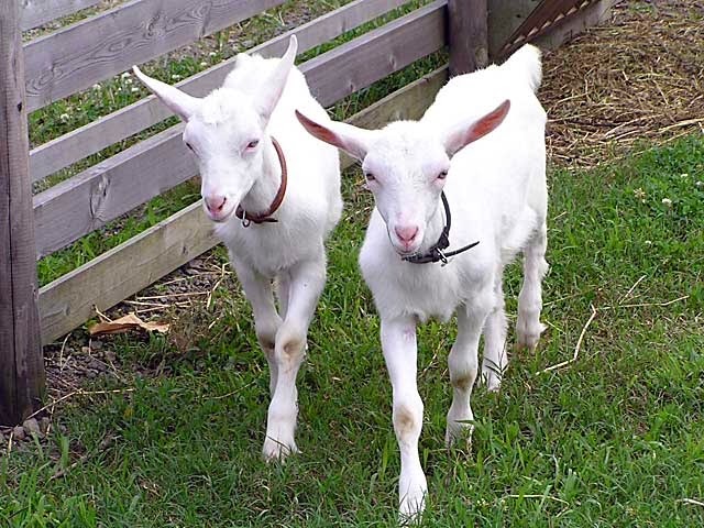 [1472014022003%255B2%255D.jpg]