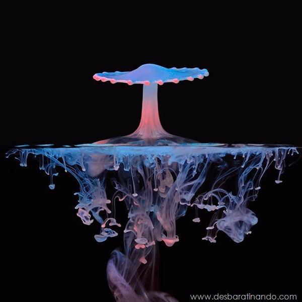 liquid-drop-art-gotas-caindo-foto-velocidade-hora-certa-desbaratinando (263) liquid-drop-art-gotas-caindo-foto-velocidade-hora-certa-desbaratinando (263)