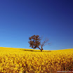 crestock-70406-1152x864.jpg