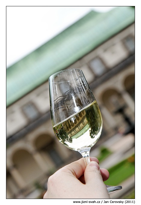 [letohradek_vino%255B6%255D.jpg]