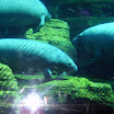 Florida 024.jpg