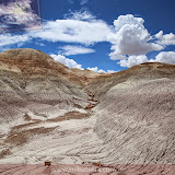 Tocos de àrvore petrificada no Deserto Pintado -Petrified Forest National Park - Flagstaff, AZ