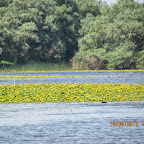 IMG_7793.JPG