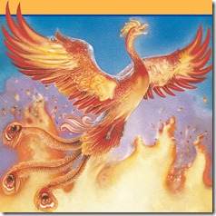 Harry-Potter-And-The-Order-Of-The-Phoenix_novel