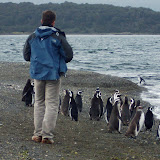 26 - Caminata entre pinguinos