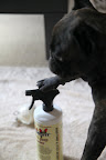 You know that I am very skilled with a spray bottle.