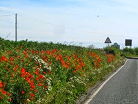 IMG_0708 IMG_0708