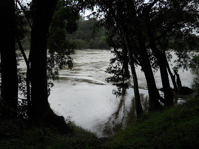 The Carvery River. It is just a trickle of a stream in the summer months
