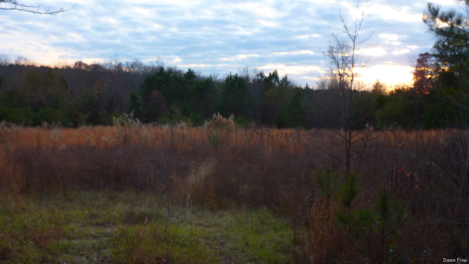 [NC%2520dells_034%255B4%255D.jpg]