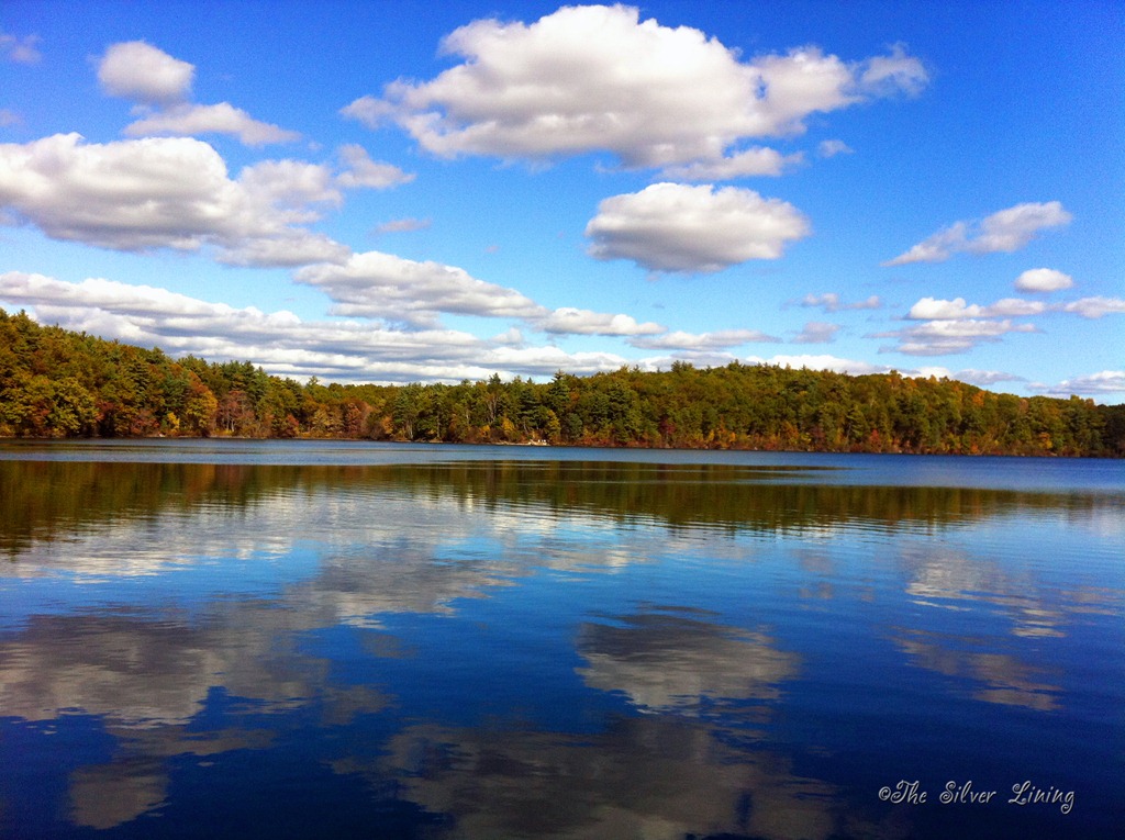 [Walden%2527s%2520Pond%252010-11%255B9%255D.jpg]