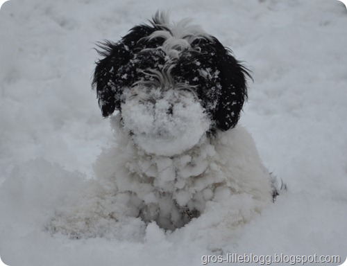 DSC_0020 DSC_0020