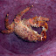 Crabe