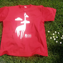 ICES majice - 11.05.2012.