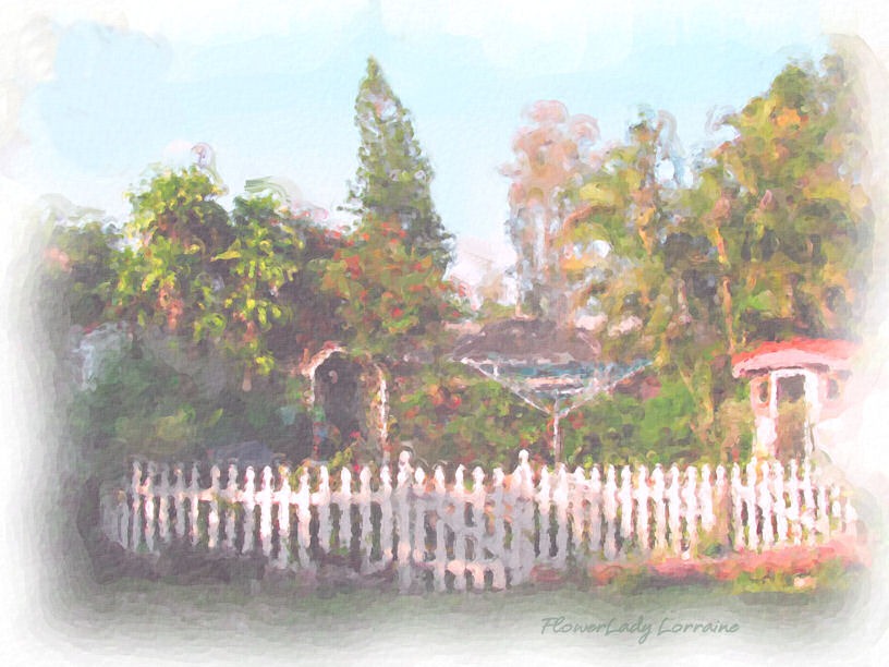 [06-25-caravan-garden%255B3%255D.jpg]