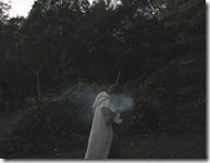 IMG_7599 IMG_7599