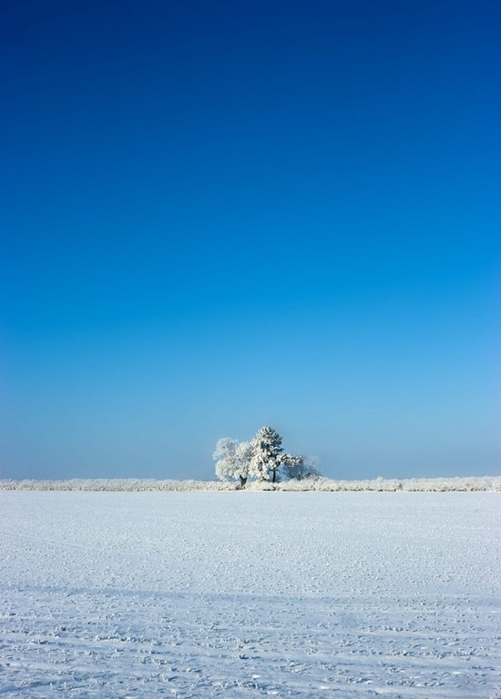[Snowy-Fields-4%255B11%255D.jpg]