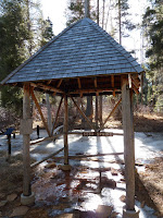 P1000317.jpg