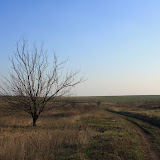 12,04,2009 на 26й