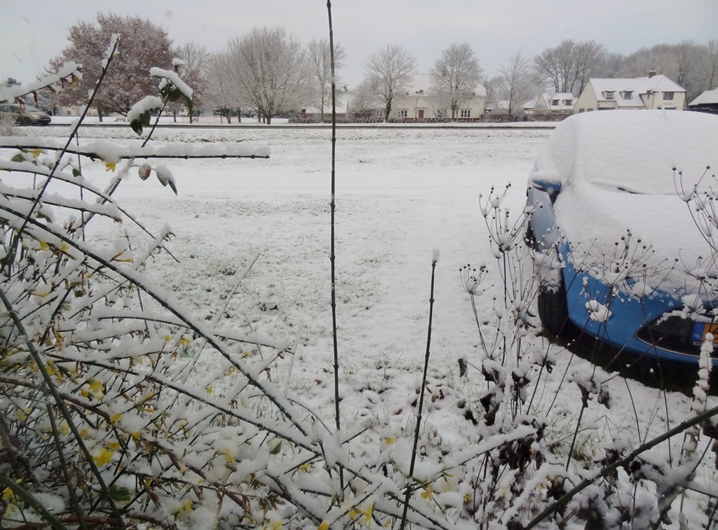 [2013%2520Jan%2520snow%252008%255B3%255D.jpg]