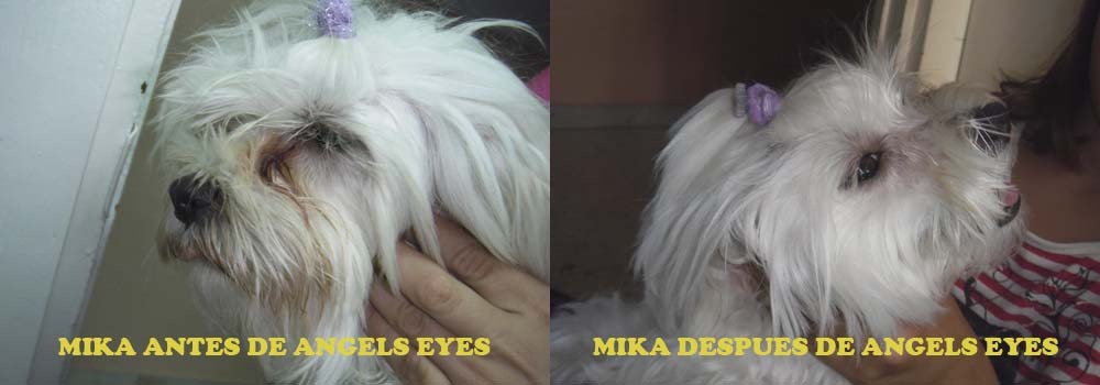 [MIKA%2520ANTES%2520Y%2520DESPUES%255B5%255D.jpg]
