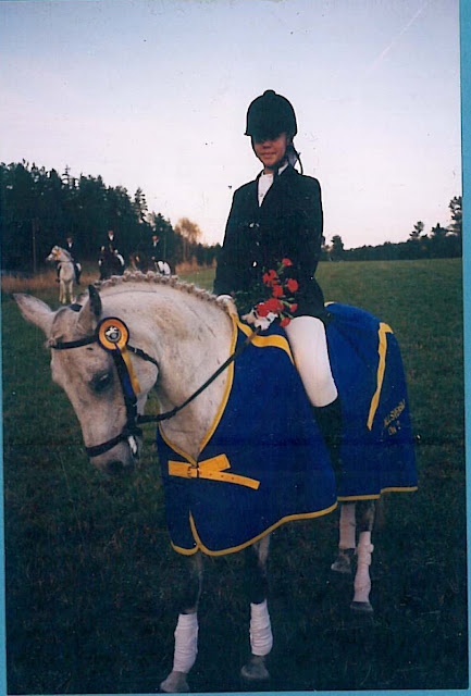 Dressyrallsvenskan 1995