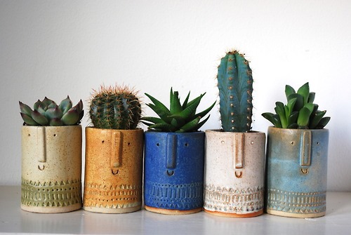 stella5cacti