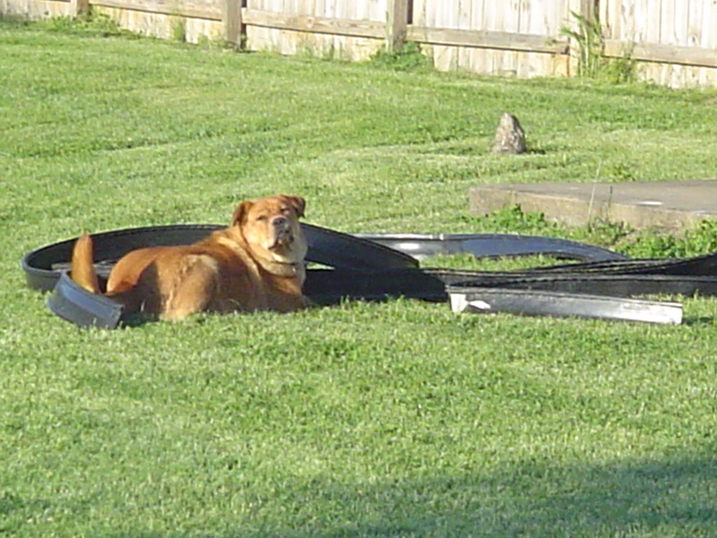 [DSC00577%255B3%255D.jpg]