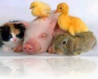 [clip_image008%255B5%255D%255B2%255D.jpg]