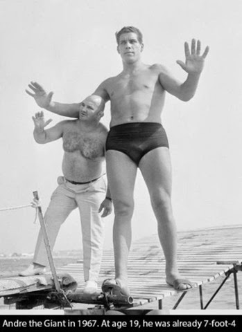 [andre-giant-facts-012%255B2%255D.jpg]