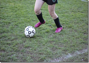 IMG_1691 IMG_1691