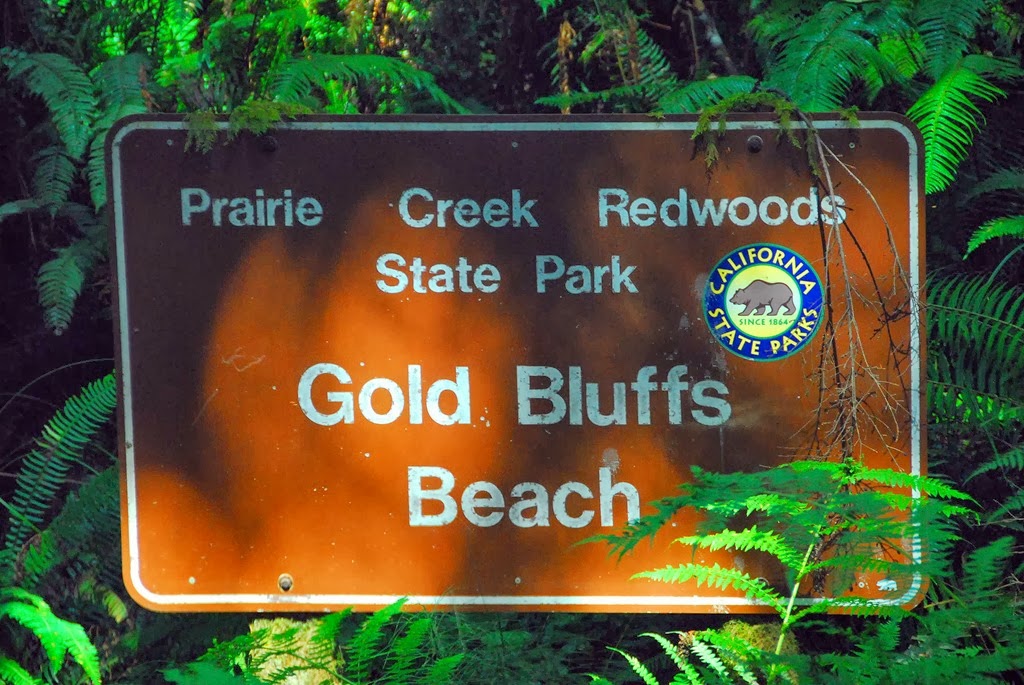 [Gold-Bluffs-Beach-Sign3.jpg]