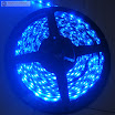 Blue-Color-Flexible-LED-Strip-60-SMD-3528-leds-per-meter-waterproof-IP65--.jpg