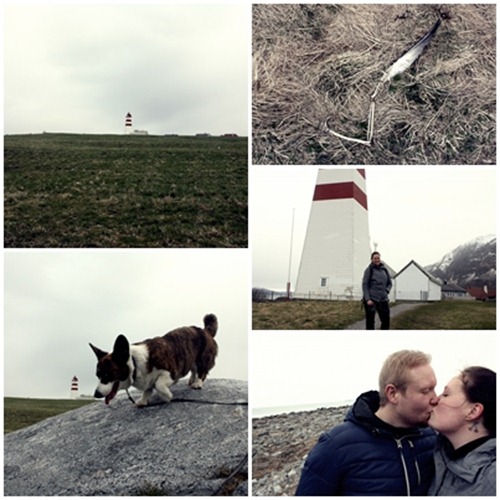 alnes collage