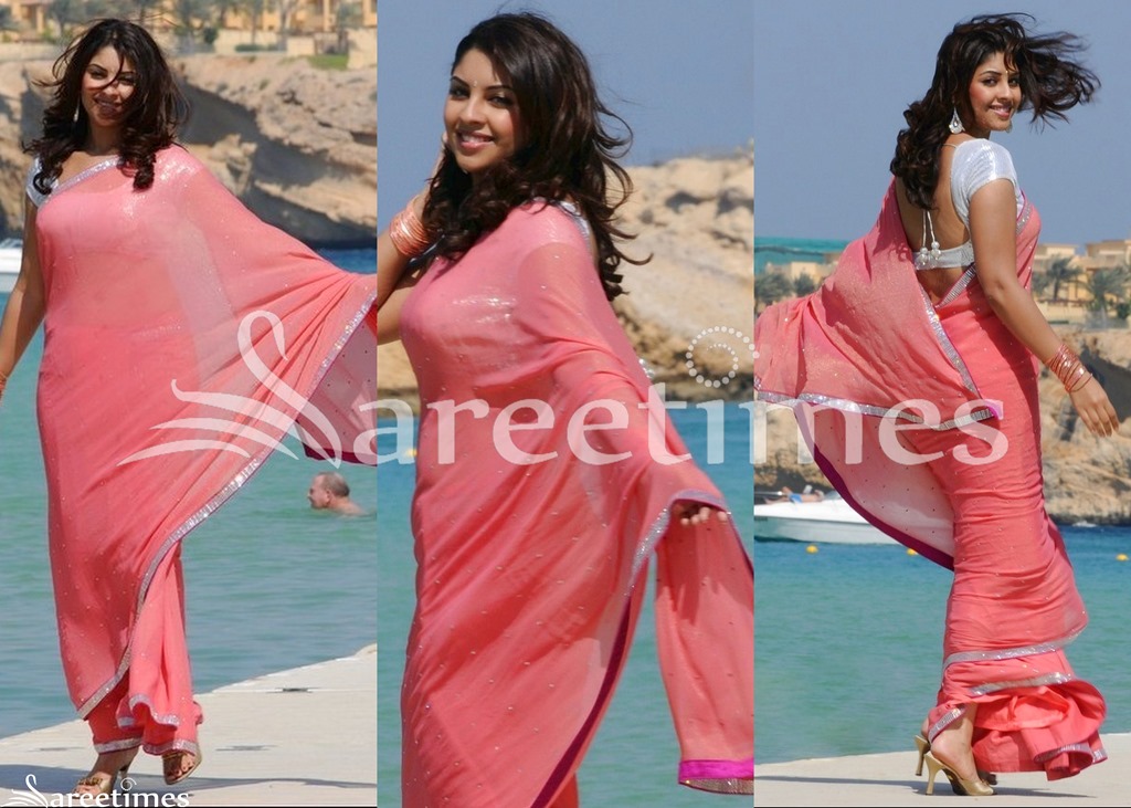 [Richa_Gangopadhyay_Georgette_Saree%255B4%255D.jpg]