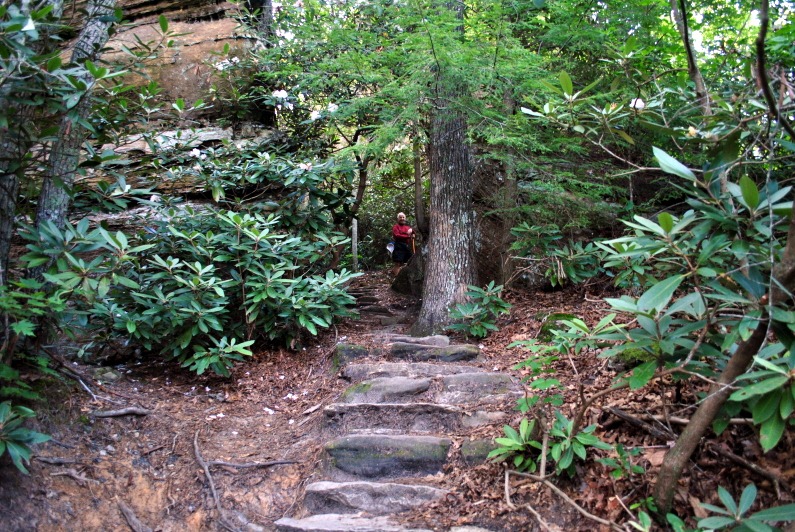 [17---Rock-Garden-Trail---Trail-Chang%255B2%255D.jpg]