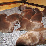 IMG_1161.JPG