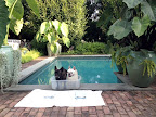 After nice stroll on the beach, it does feel nice to soak our paws, wouldn't you say so, Franny?