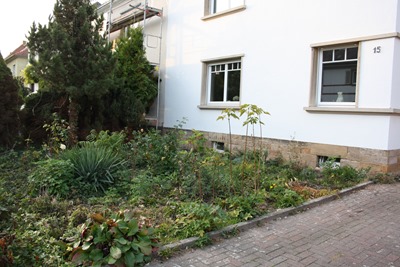 garten 019 garten 019