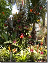 DSCN2071