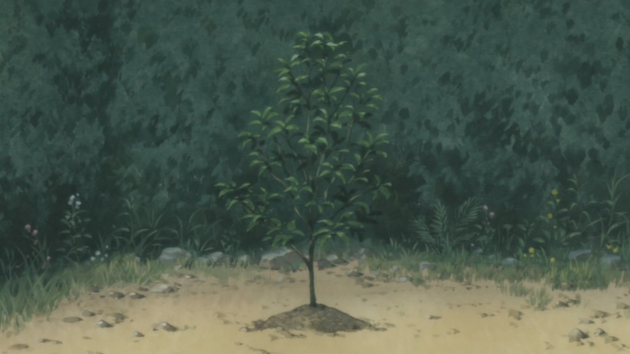 [%255BHorribleSubs%255D%2520Usagi%2520Drop%2520-%252006%2520%255B720p%255D.mkv_snapshot_18.48_%255B2011.08.11_15.53.57%255D%255B2%255D.jpg]