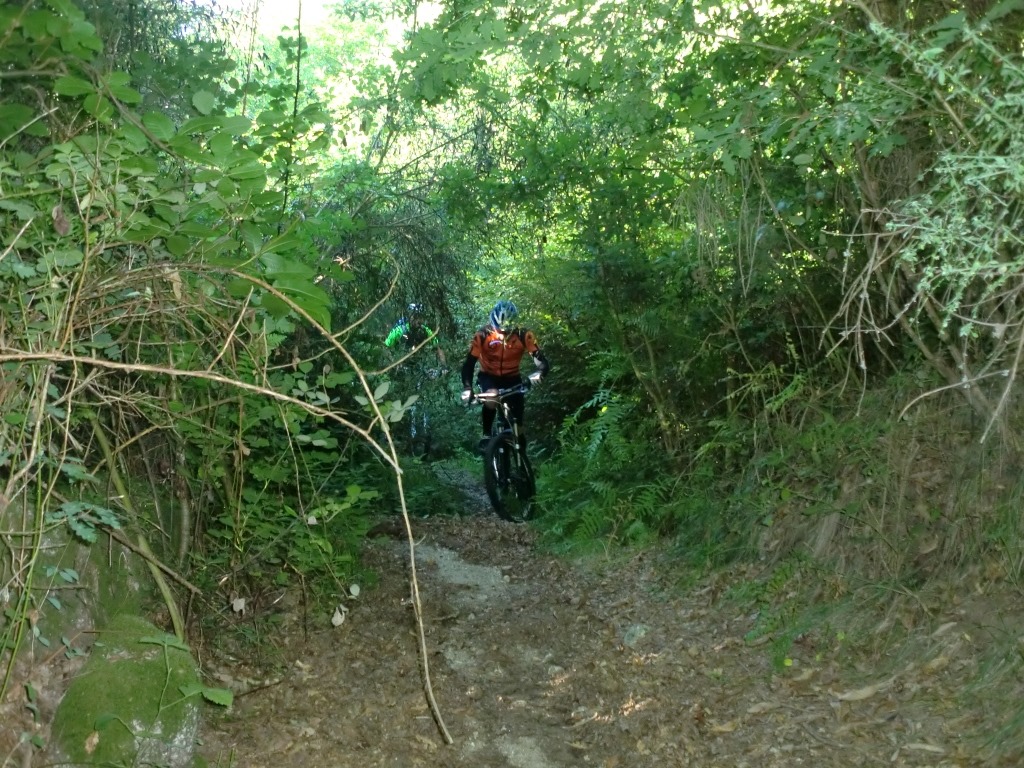 [CIMG7274%255B2%255D.jpg]