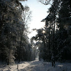 3-1-2010-051.jpg