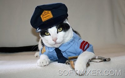 [crazy-cat-fashions-corrupt-cop--large-msg-128933303431%255B7%255D.jpg]