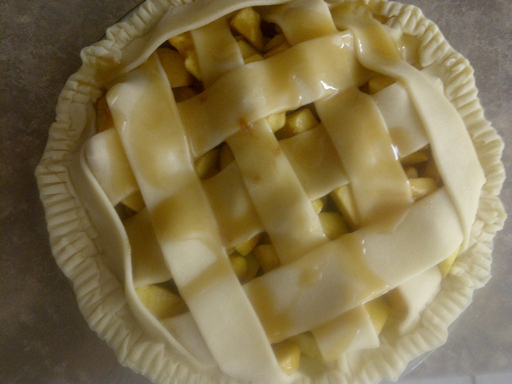 [IMG-20110827-028303.jpg]